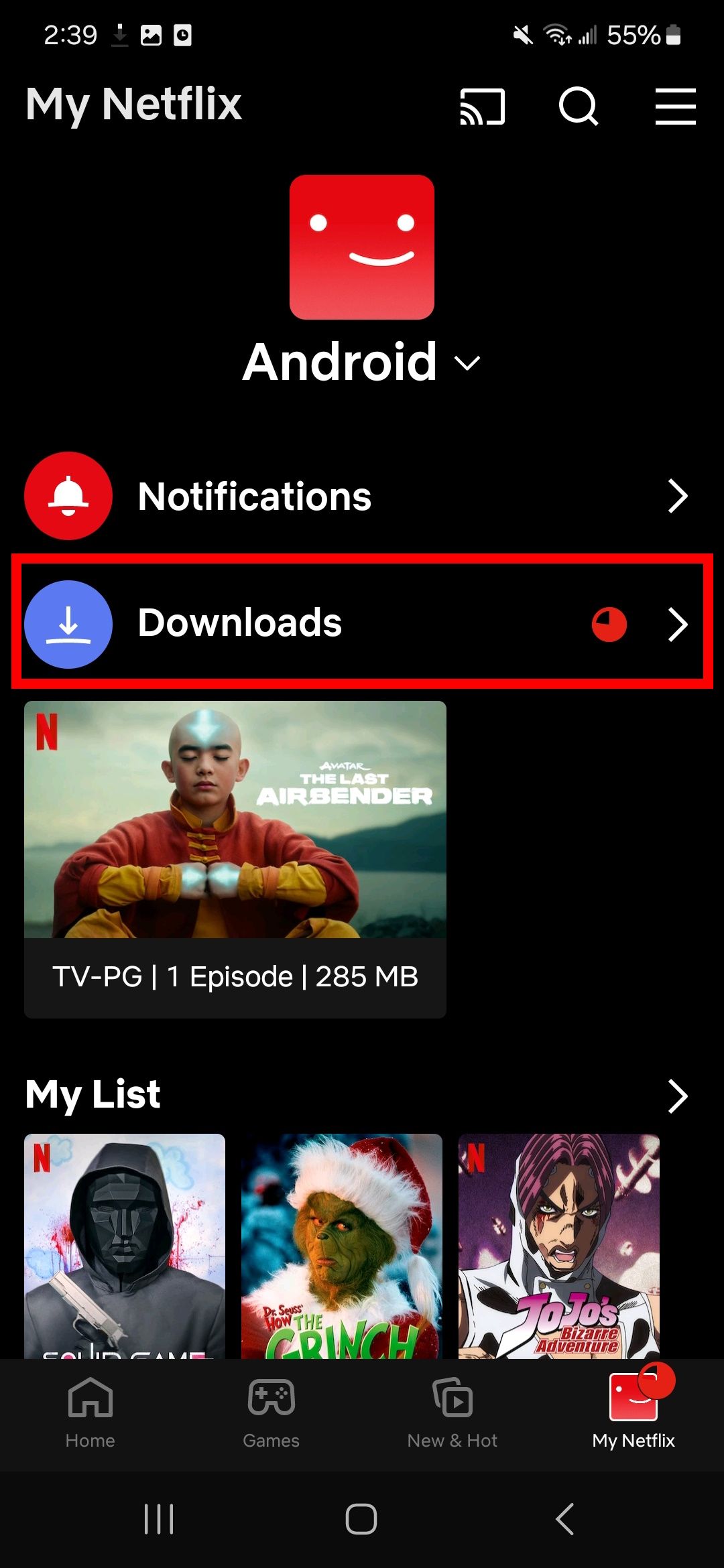 red rectangle outline over downloads option inside my netflix icon section in the netflix app