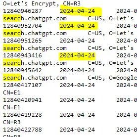 OpenAI-search-engine-SSL-log