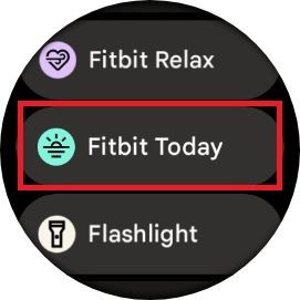 Screenshot highlighting Fitbit Today on the Google Pixel Watch 2