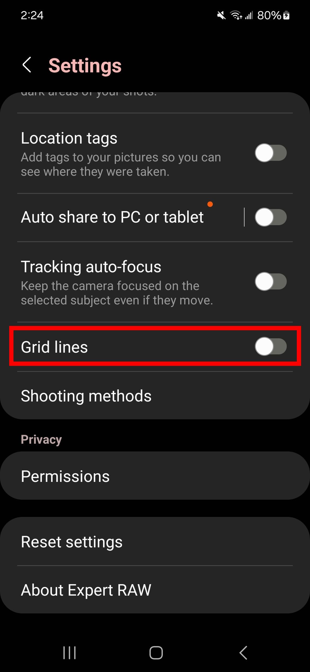 red rectangle outline over grid lines toggle in expert raw app