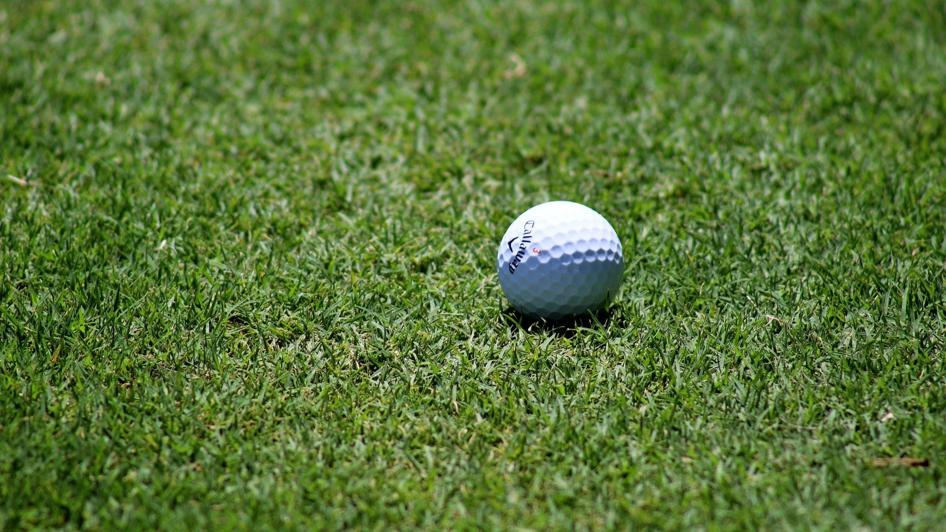 The best Android golf games in the Play Store