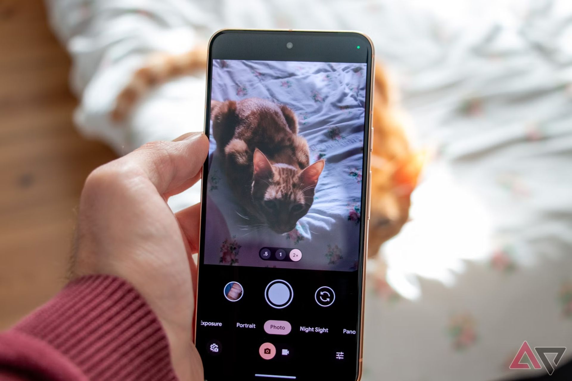 Your Pixel 10's camera could offer crisper close-ups from further away