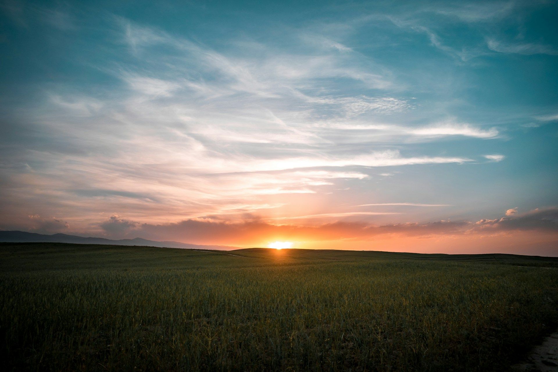 A photograph of a rising sun with a grassy field in the foreground