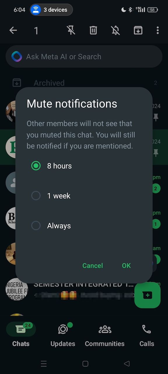 Muting a conversation on WhatsApp