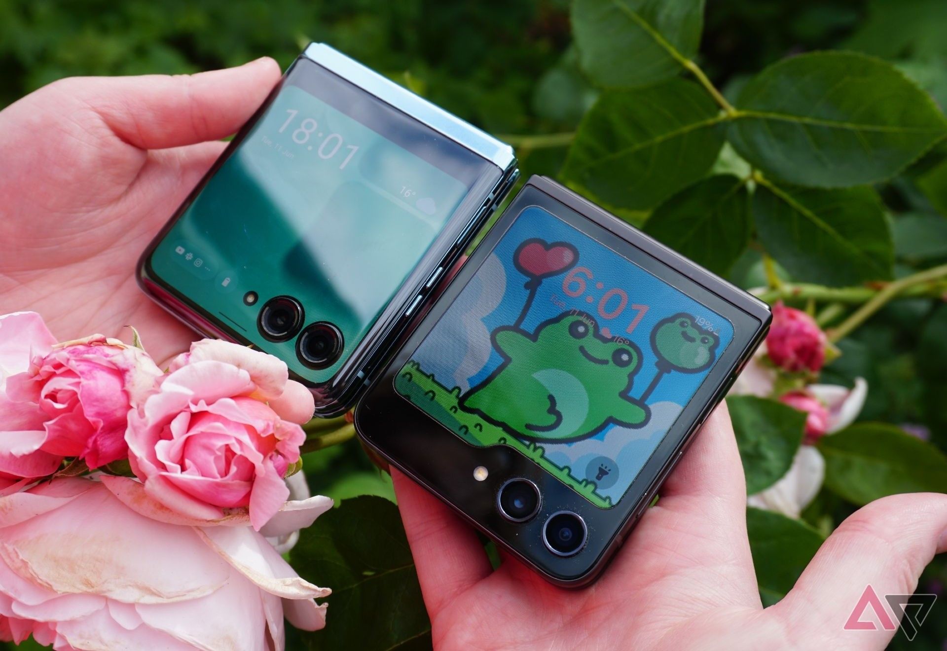 A photo of a Galaxy Z Flip 5 and Moto Razr+ being held together next to a rose bush