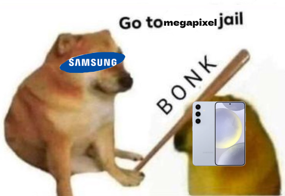 A meme of a dog (samsung) hitting another dog (the S25) with the text "go to megapixel jail."