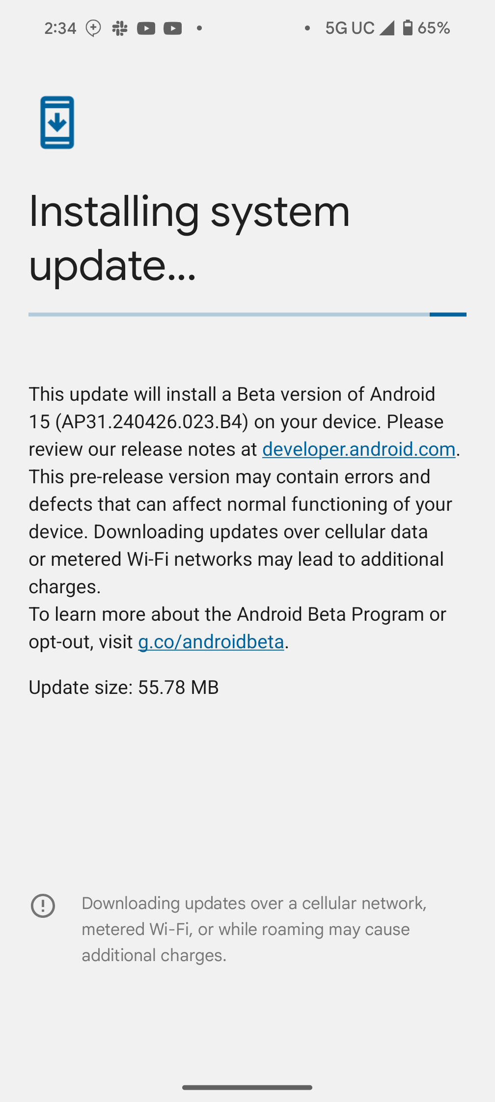 Screenshot installing Android 15 Beta 2.2 on a Pixel 8 Pro