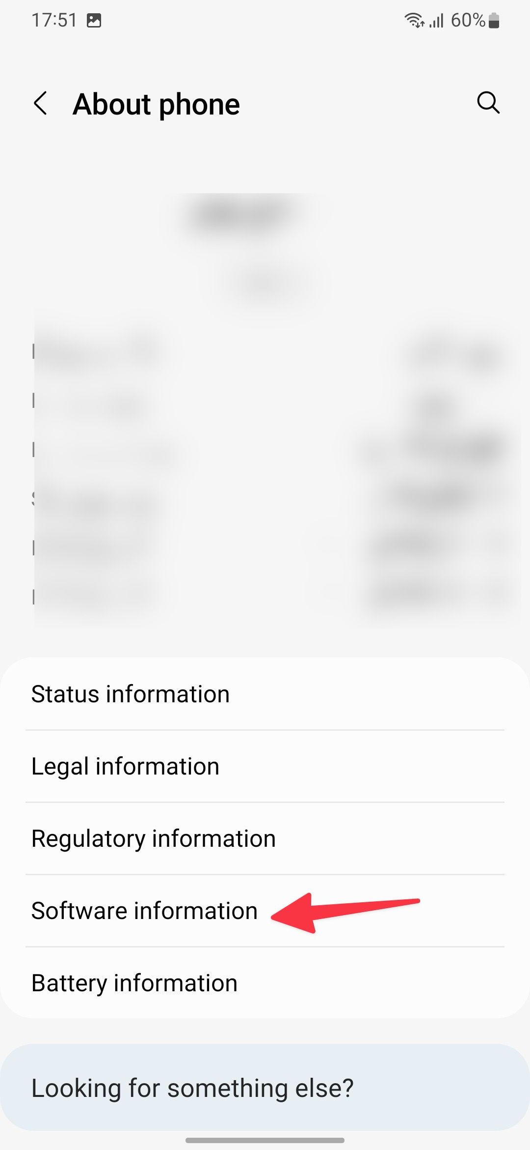 Software information menu on Samsung phones