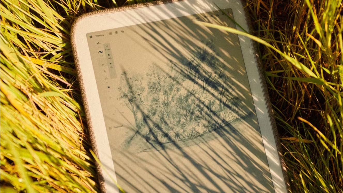 Daylight DC-1 in the grass