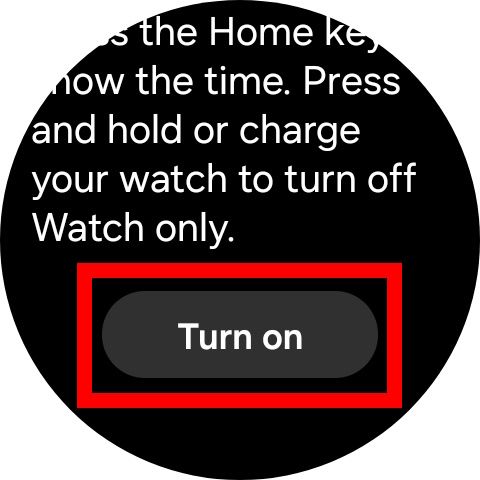 Red rectangle outline highlighting turn on option for watch only 