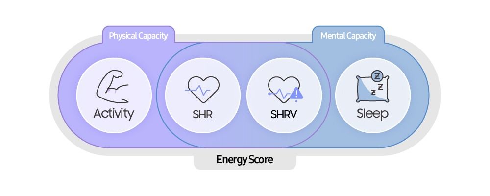 Energy Score categories split between physical and mental capacity