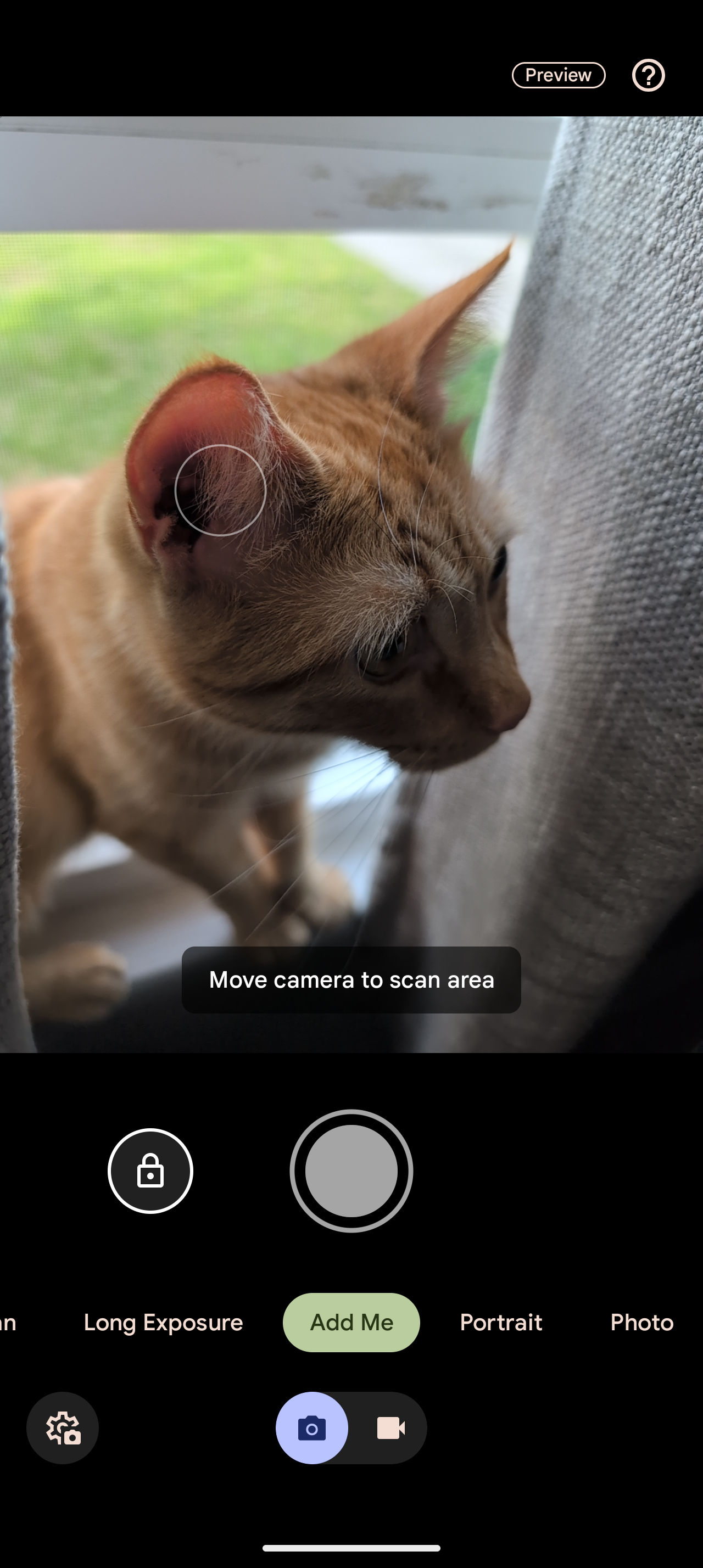 pixel 9 camera viewfinder showing orange cat