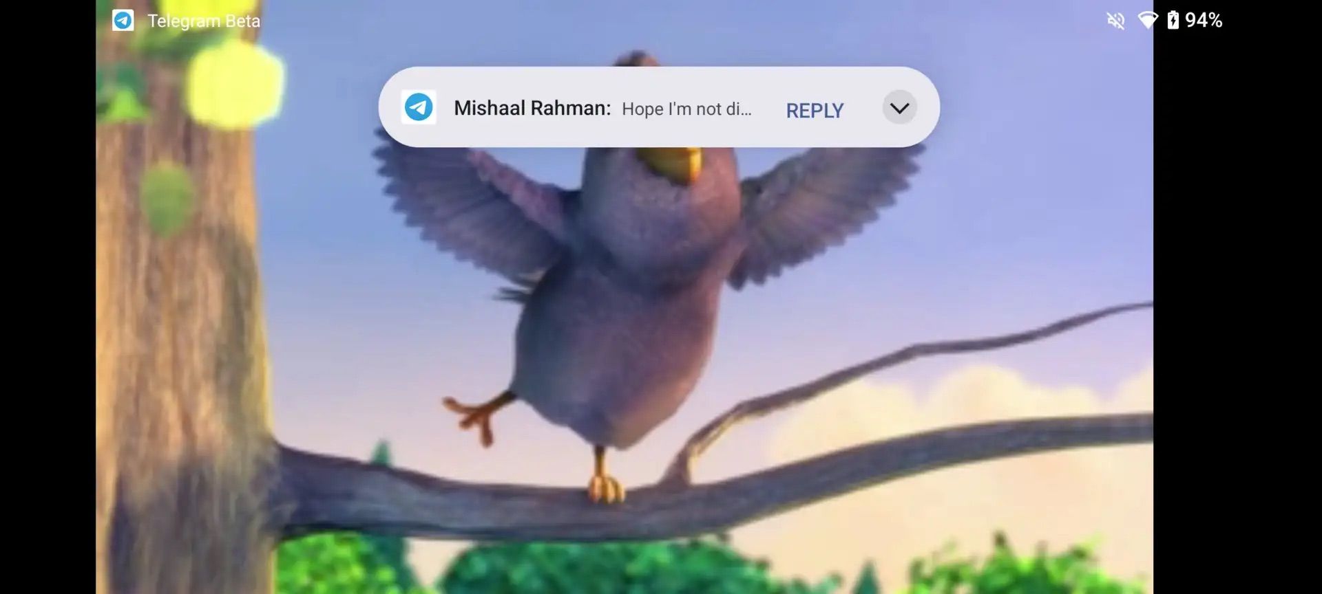 Android 15 beta 4 compact notification example
