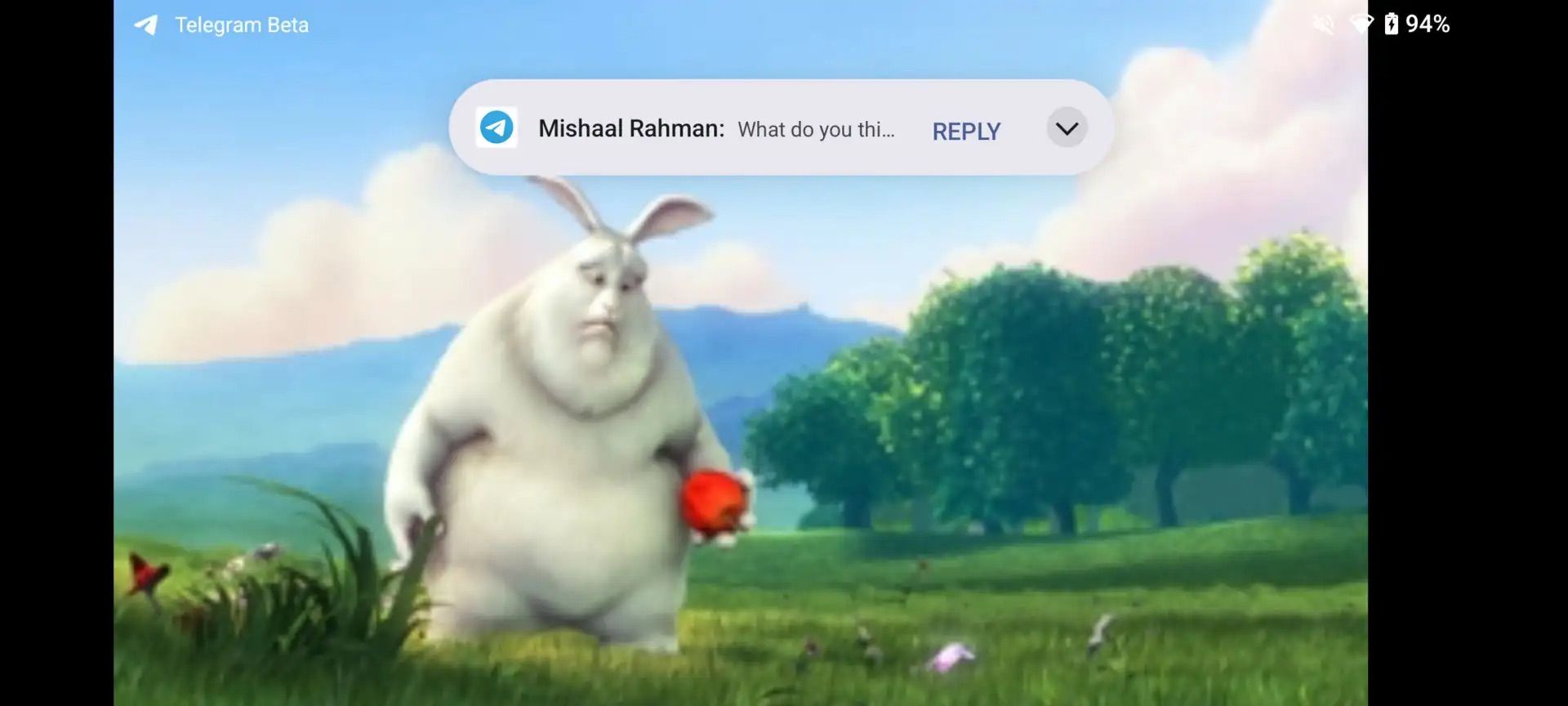 Android 15 beta 4 compact notification example