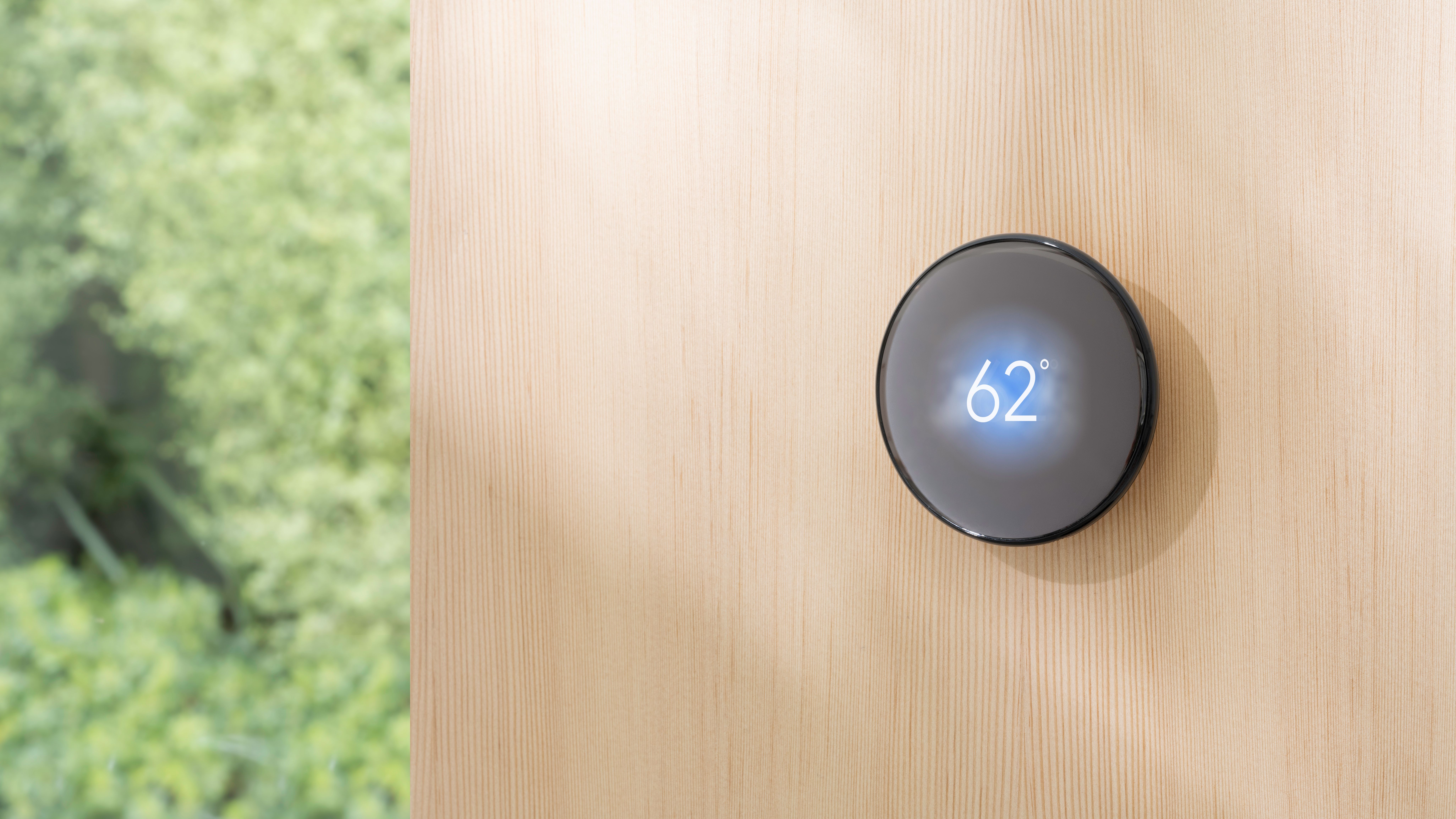 Google Nest Learning Thermostat mounted on wood wall next to greenery