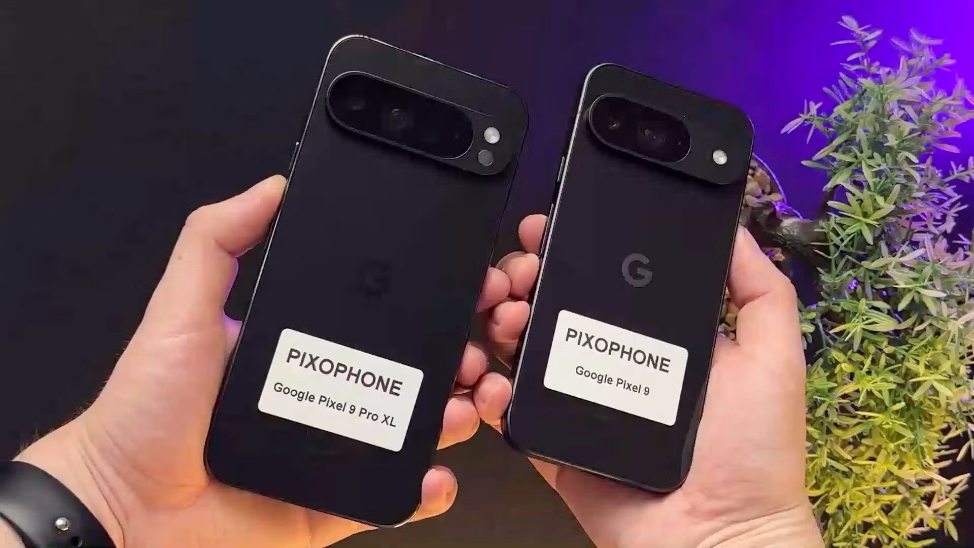 A person holding the Pixel 9 Pro next to the Pixel 9 Pro XL.