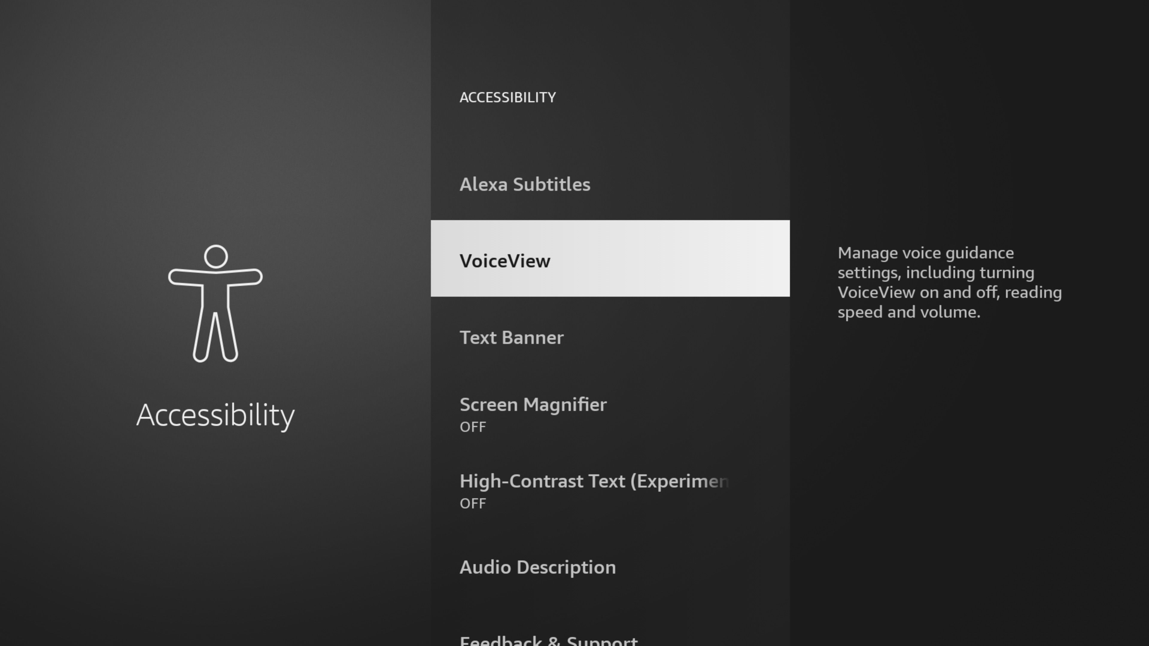 VoiceView menu on Fire TV