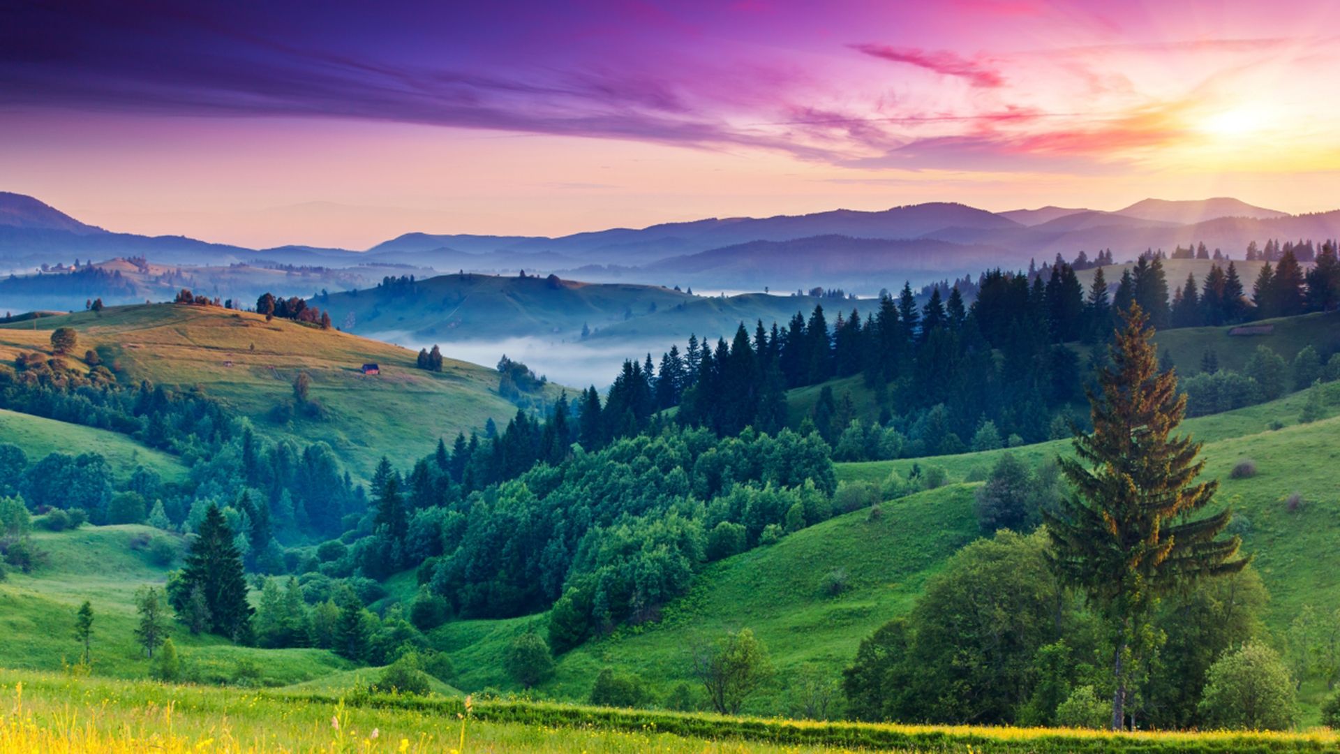 Google Chrome browser with the 'Beauty' theme applied, featuring a vibrant countryside with rolling green hills, dense forests, and a stunning sunset casting colourful hues across the sky.