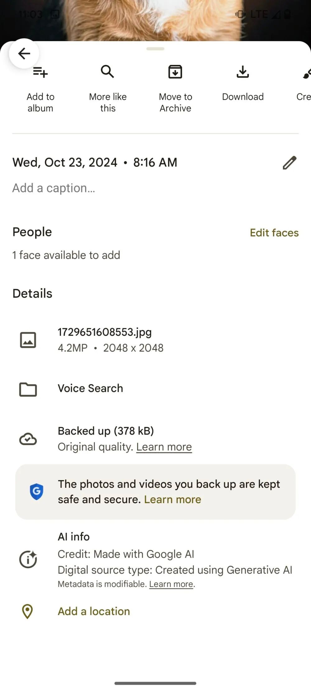 Google Photos' AI image detection in action