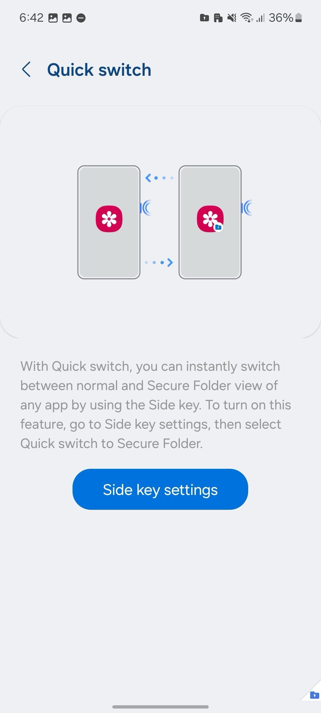 Secure Folder Quick Switch