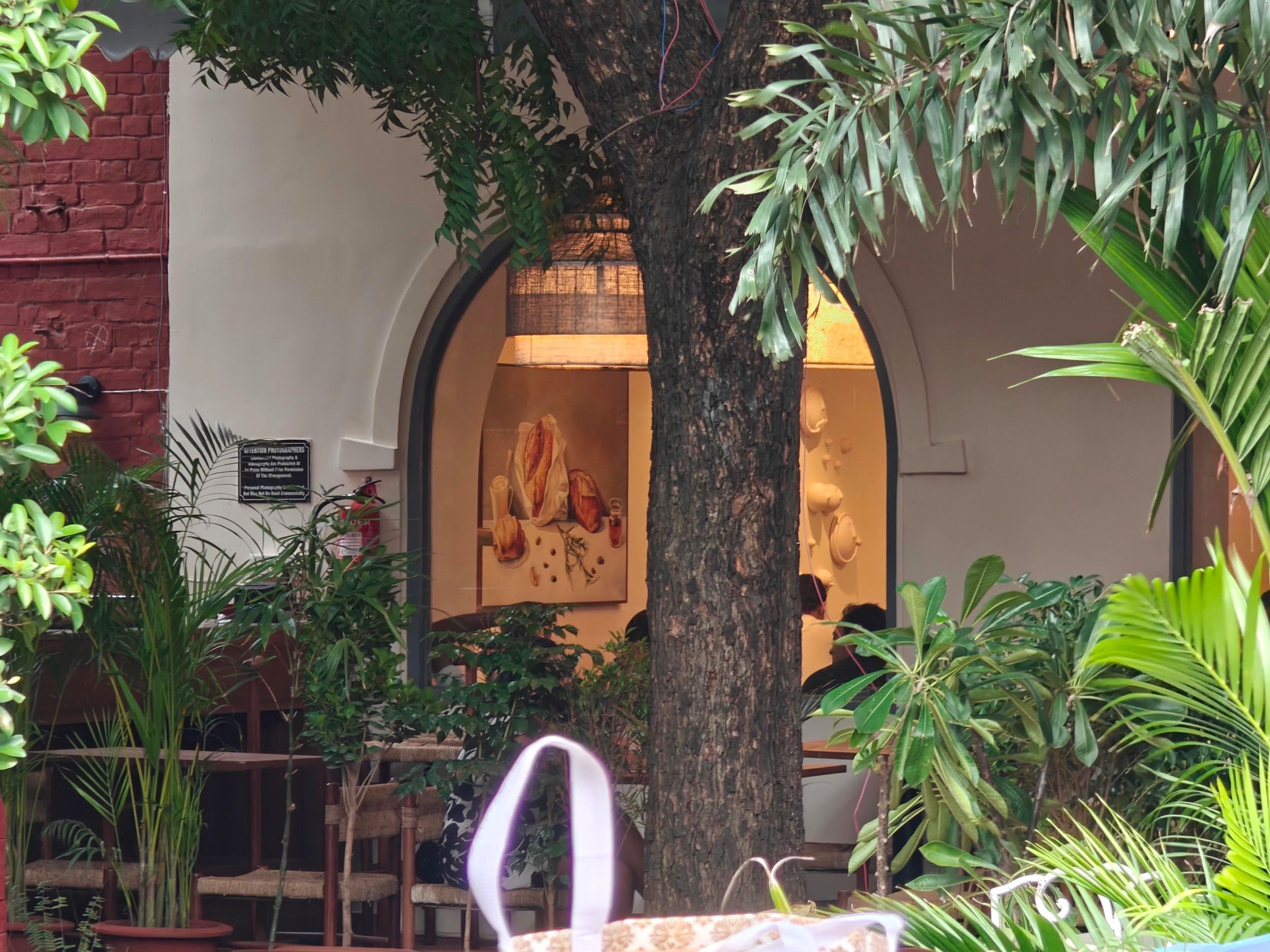 A photo of an open cafe surrounded by green plants and trees