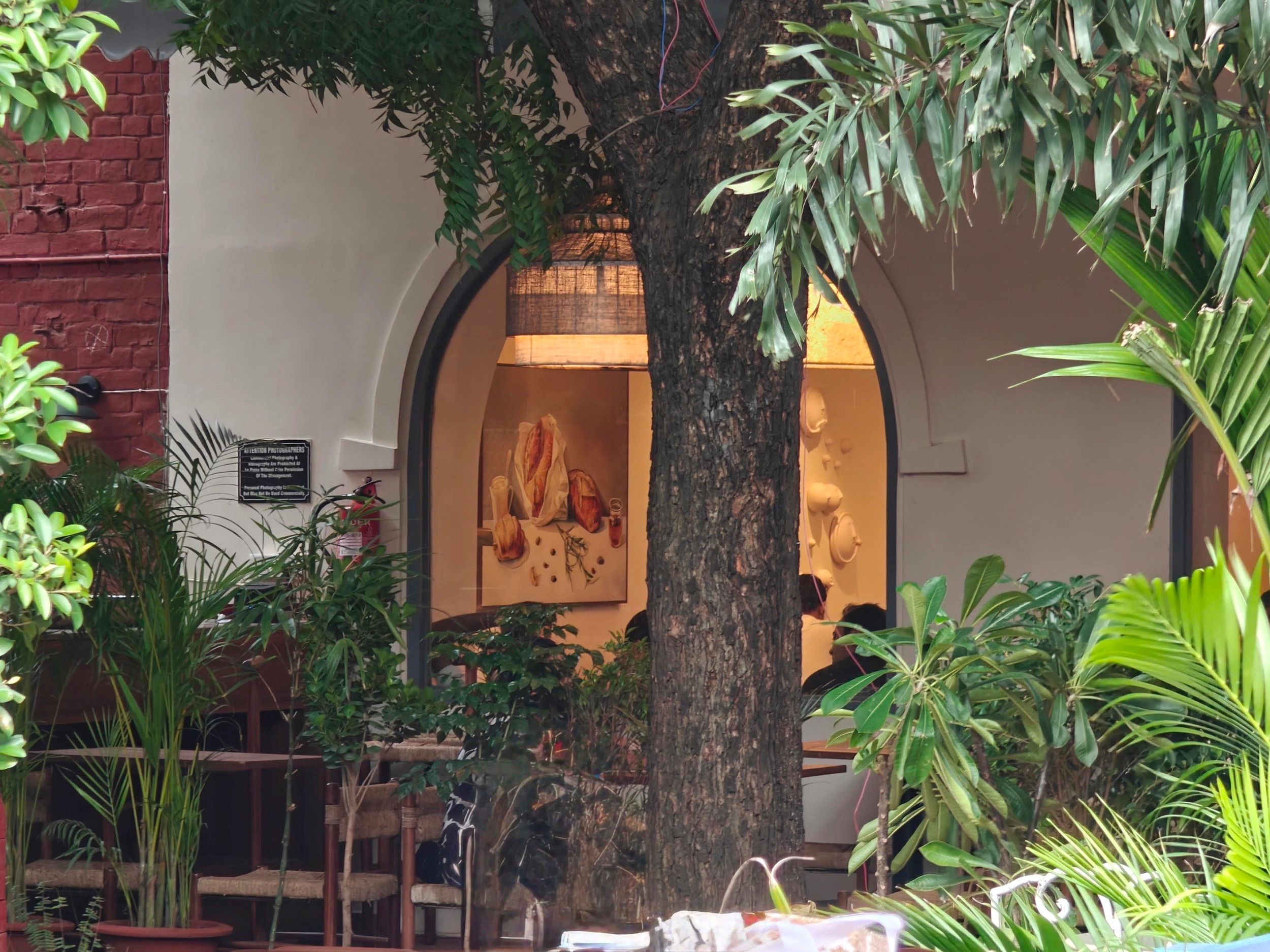 A photo of an open cafe surrounded by green plants and trees edited by Google Photos' Magic Editor