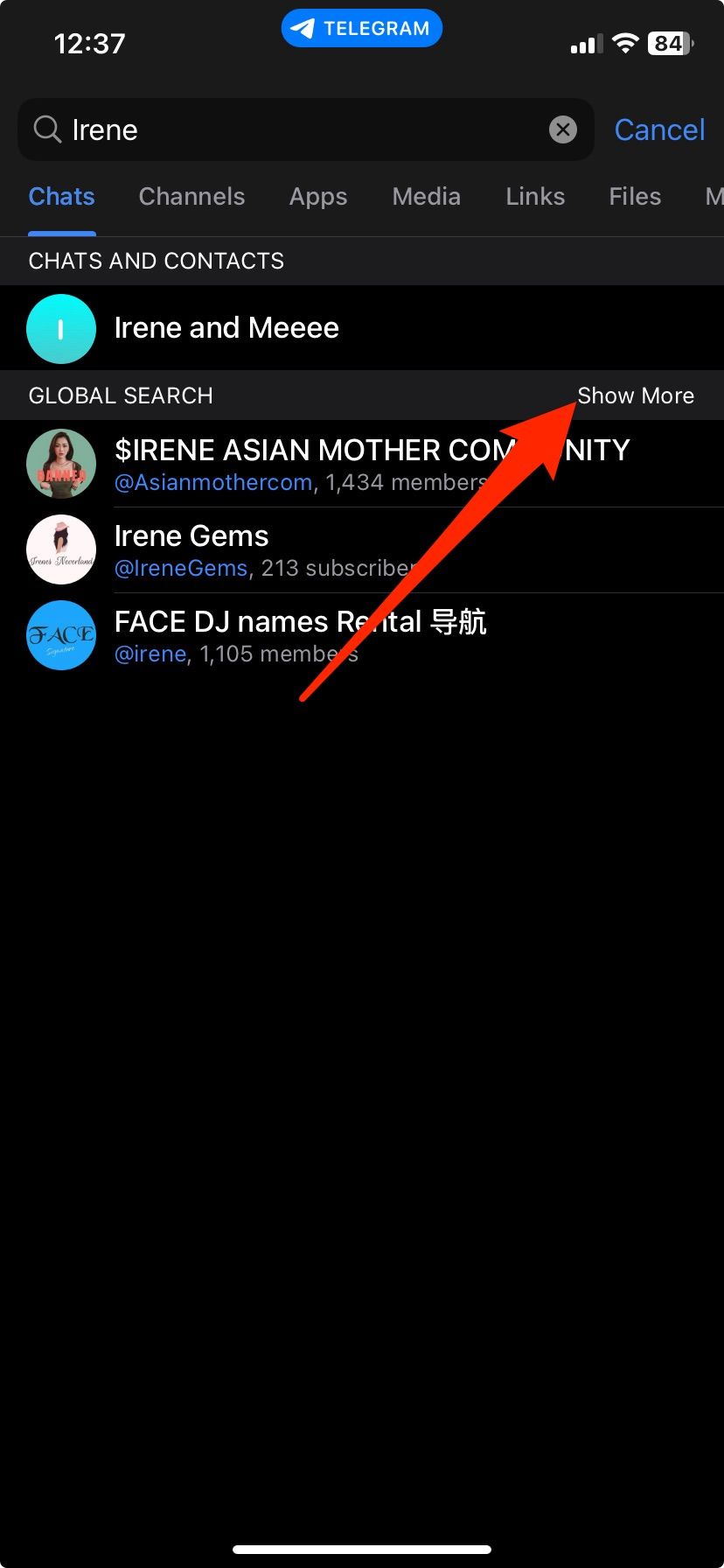 Search results for a group on Telegram iPhone app