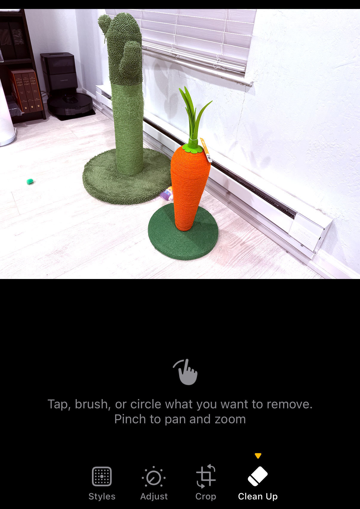 A "before" shot of the iPhone 16 Pro's AI photo-editing tools