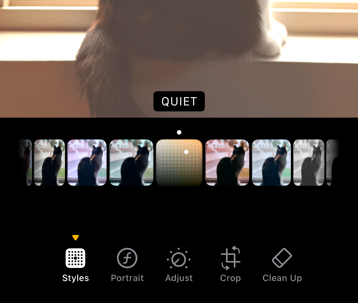 iPhone 16 Pro's photography styles feature
