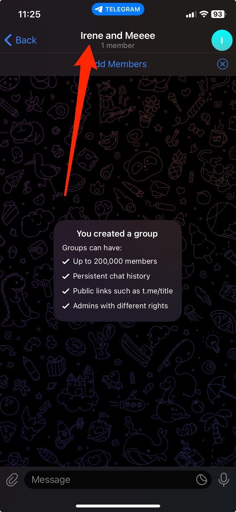 Telegram group chat screen showing group title and texting elements on iPhone