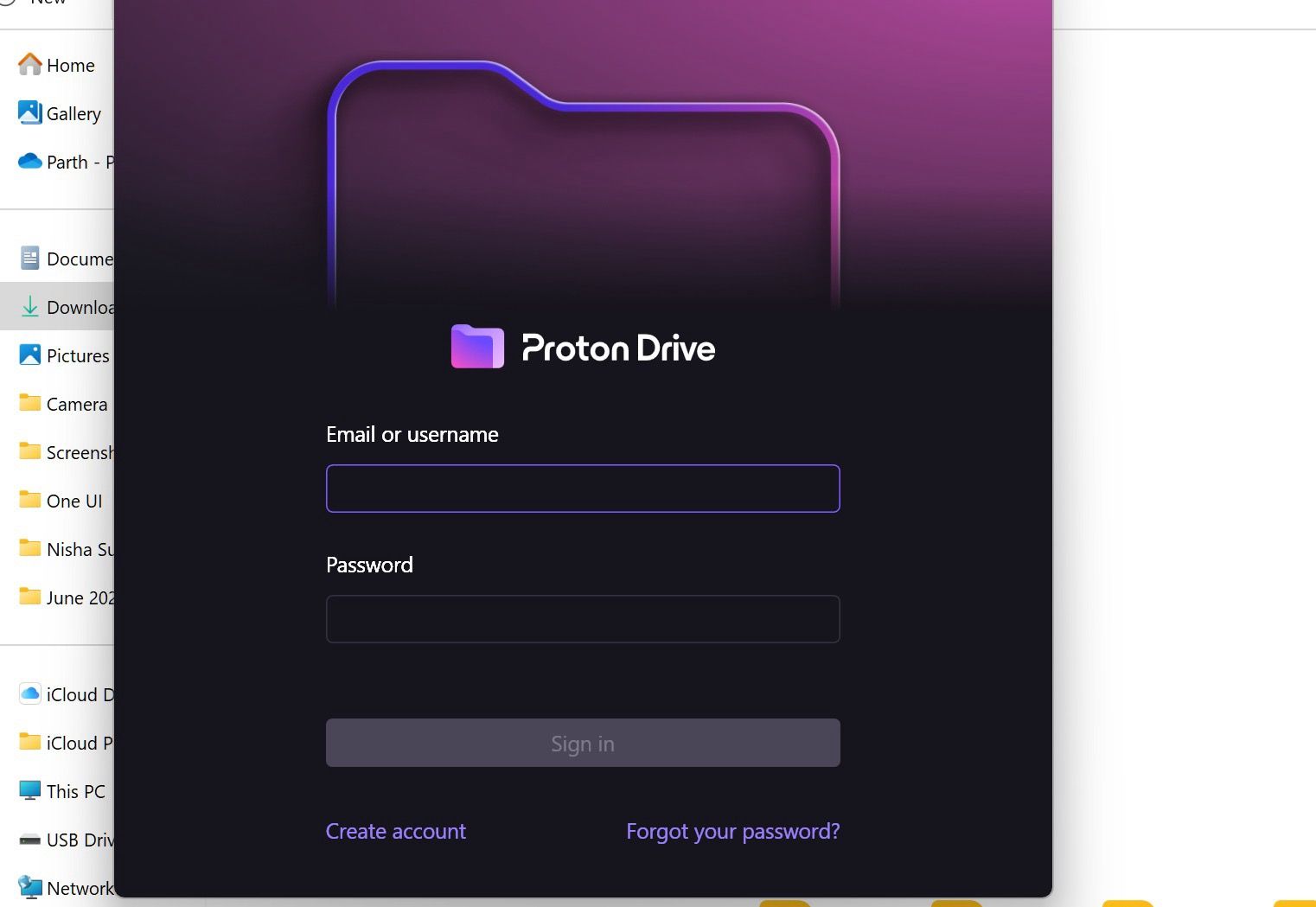 Sign in with Proton account details