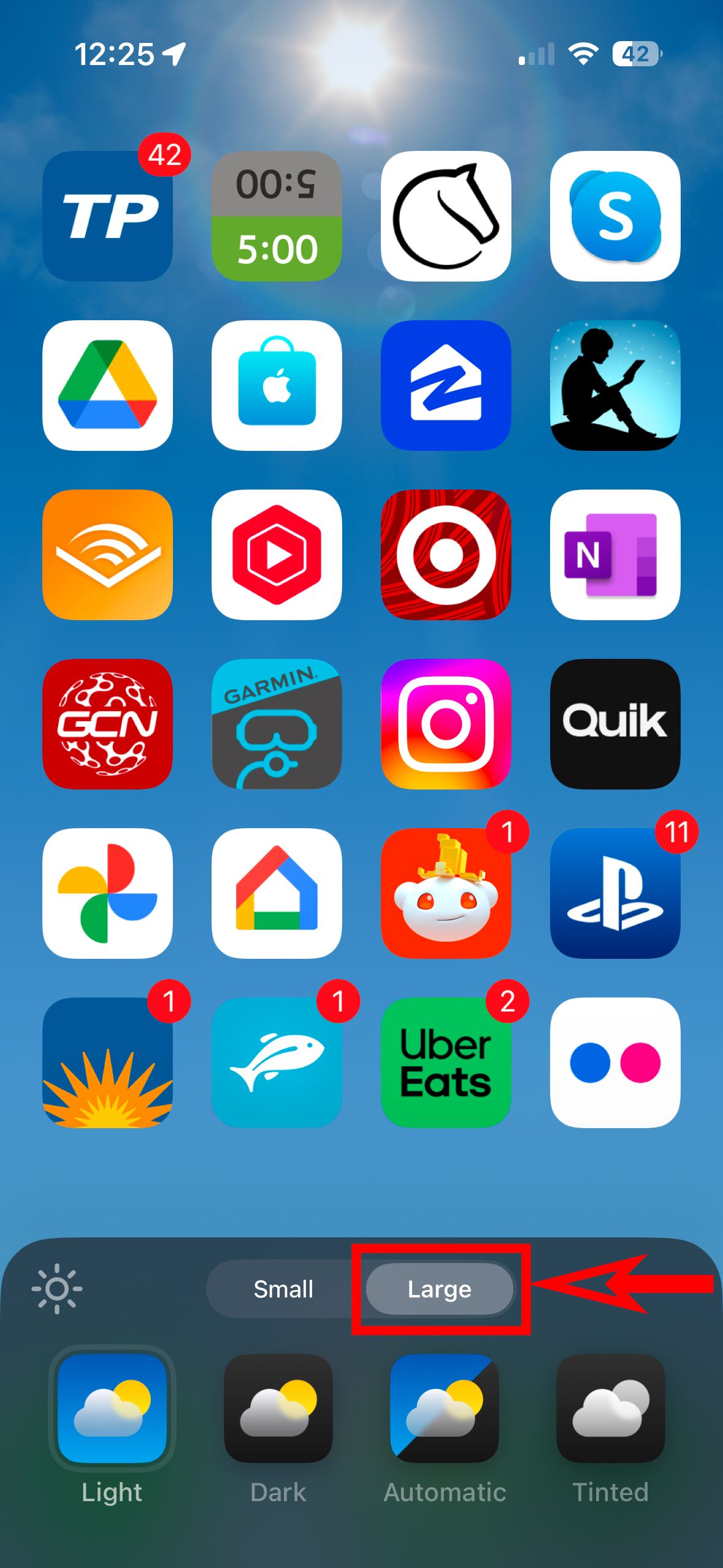 A screenshot of an iPhone home screen with the app icon edit menu and a red box around the Large button.