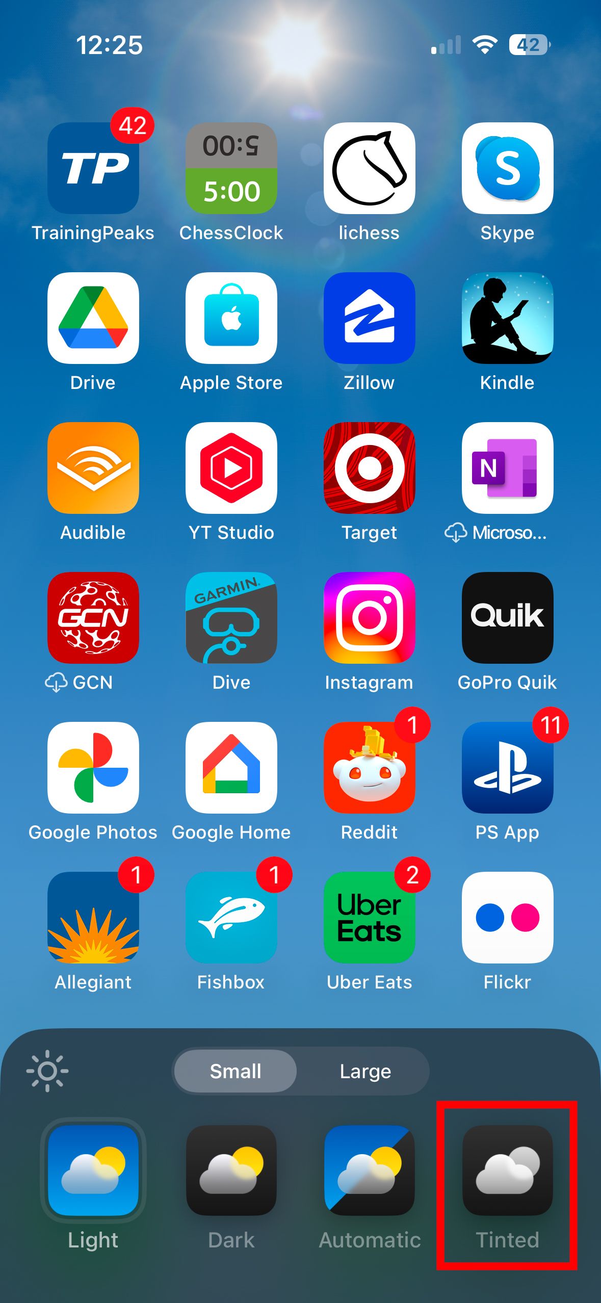 A screenshot of an iPhone home screen with the app icon edit menu and a red box around the Tinted button.