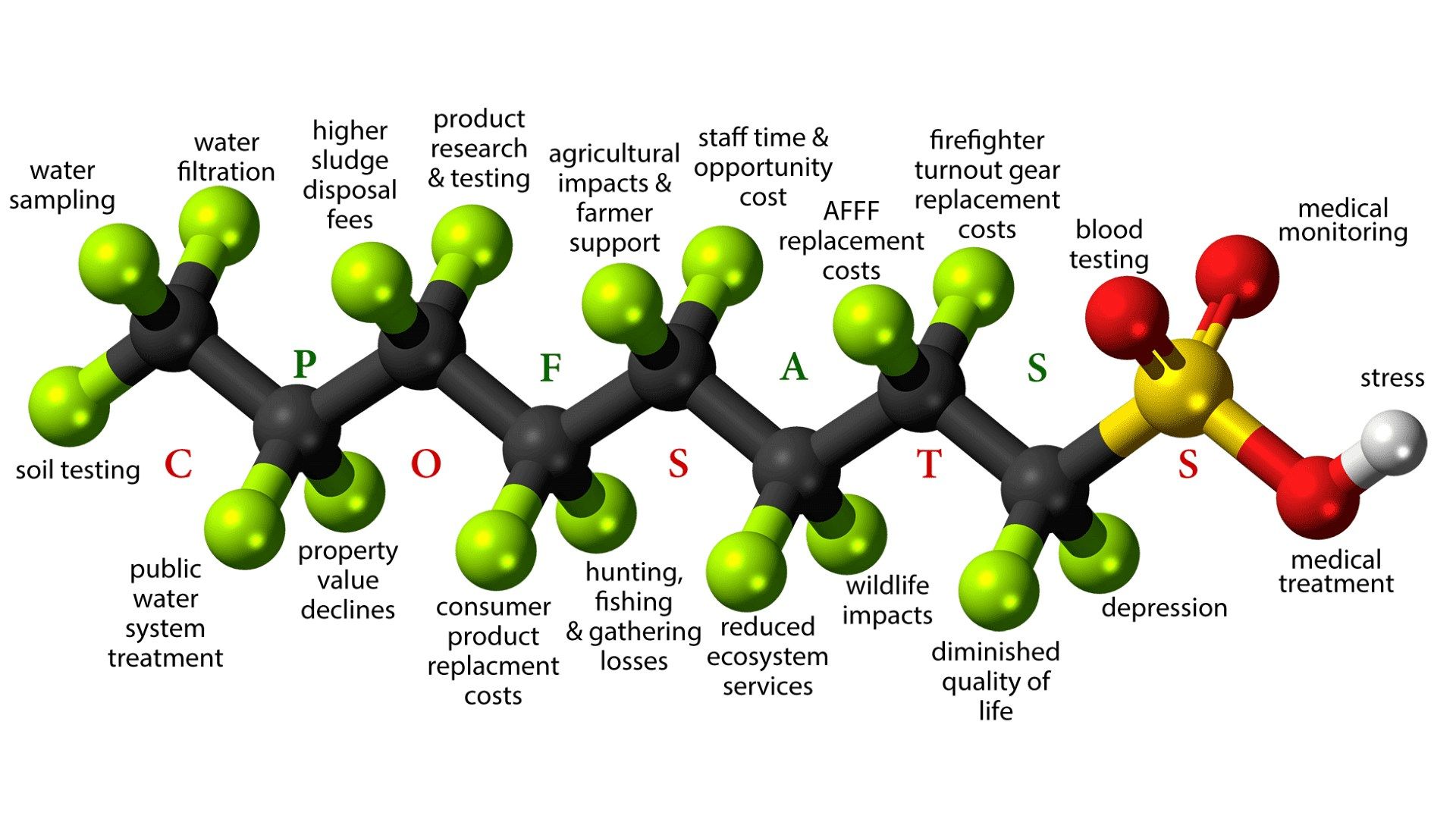 An illustration of an example PFAS structure, overlaid with potential environmental and biological effects