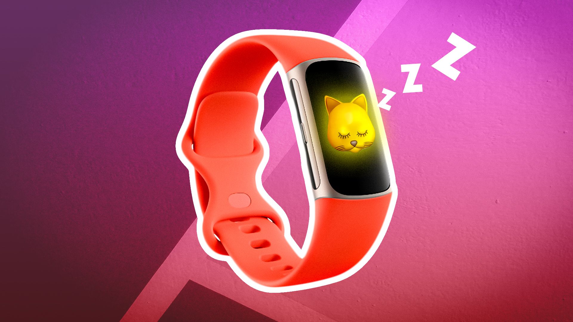 Here’s why your fitness tracker assigns you a ‘sleep animal’