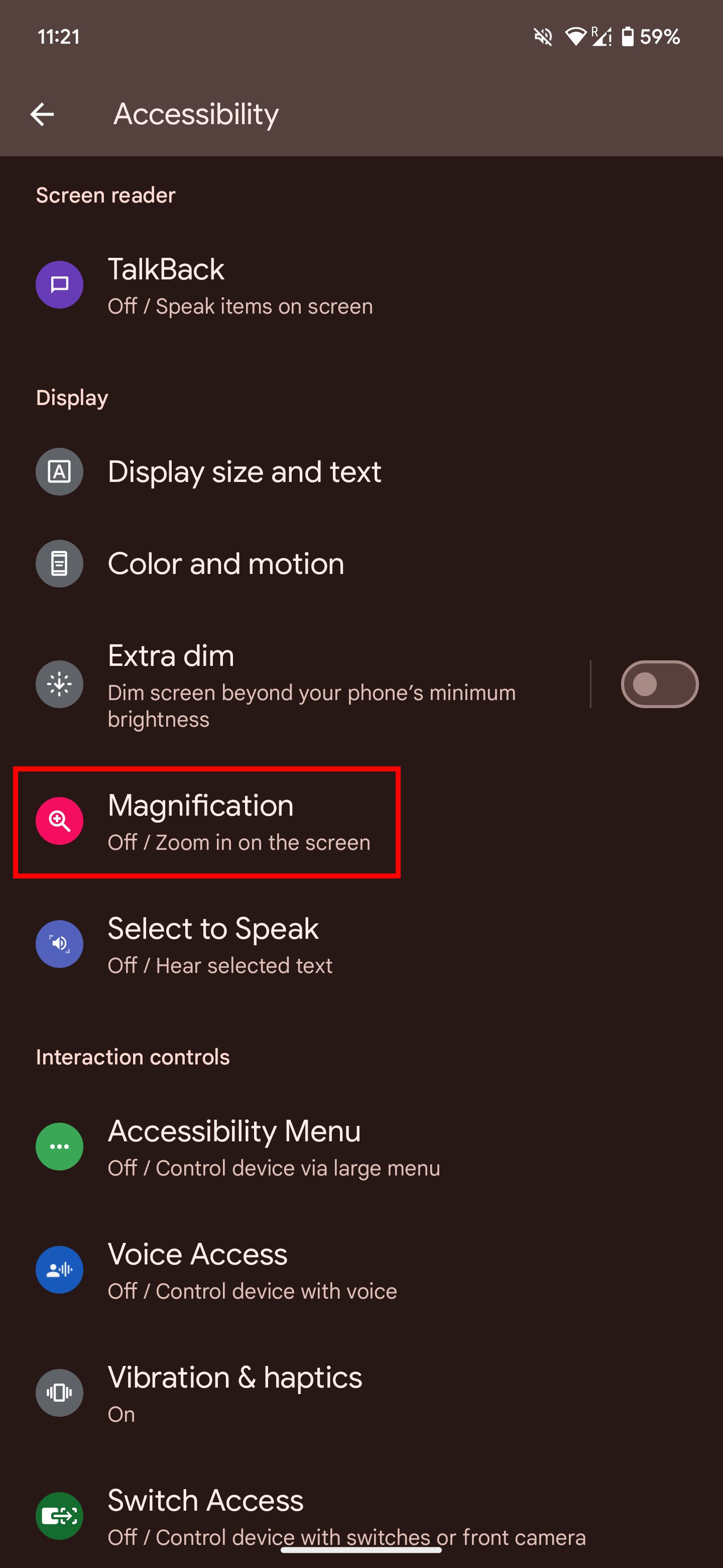 Select Magnification from the Accessibility menu.