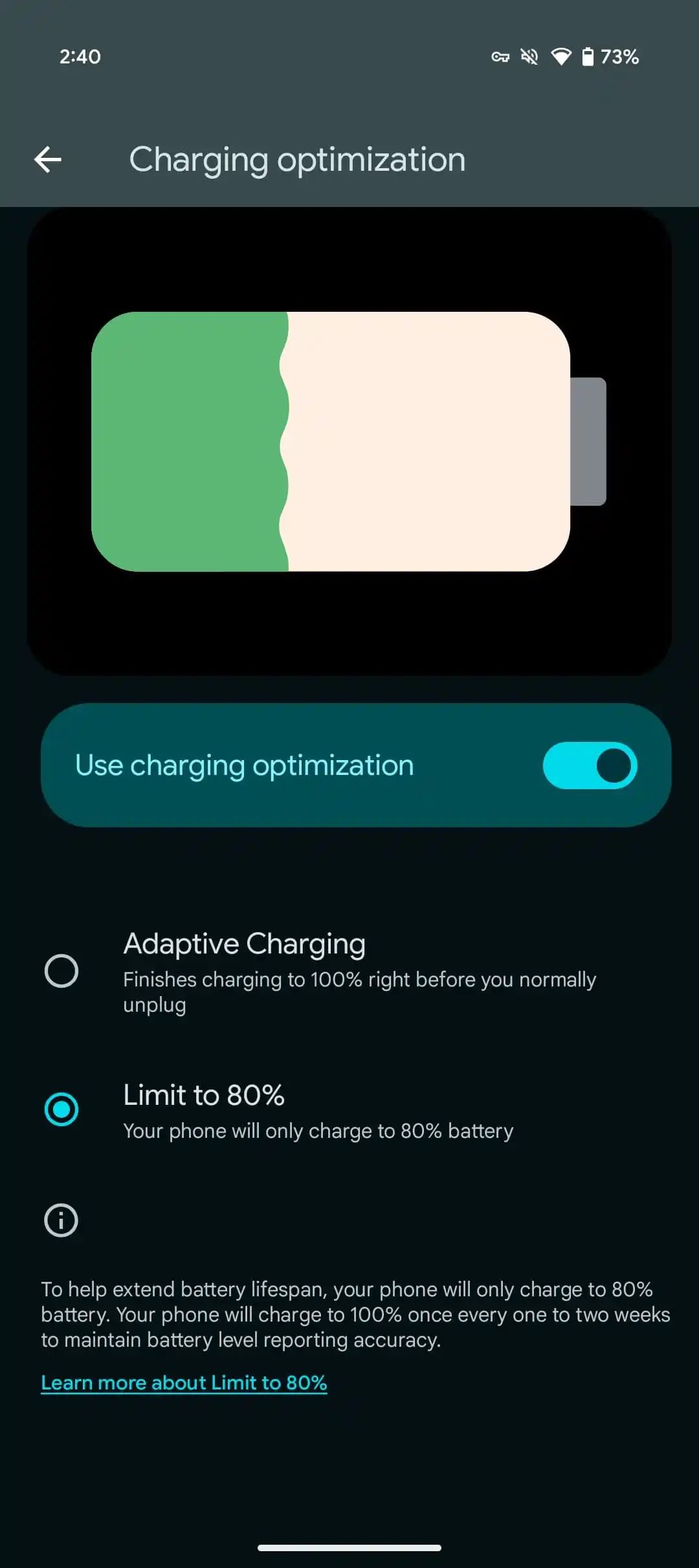 Android 16 Battery Optimization-95