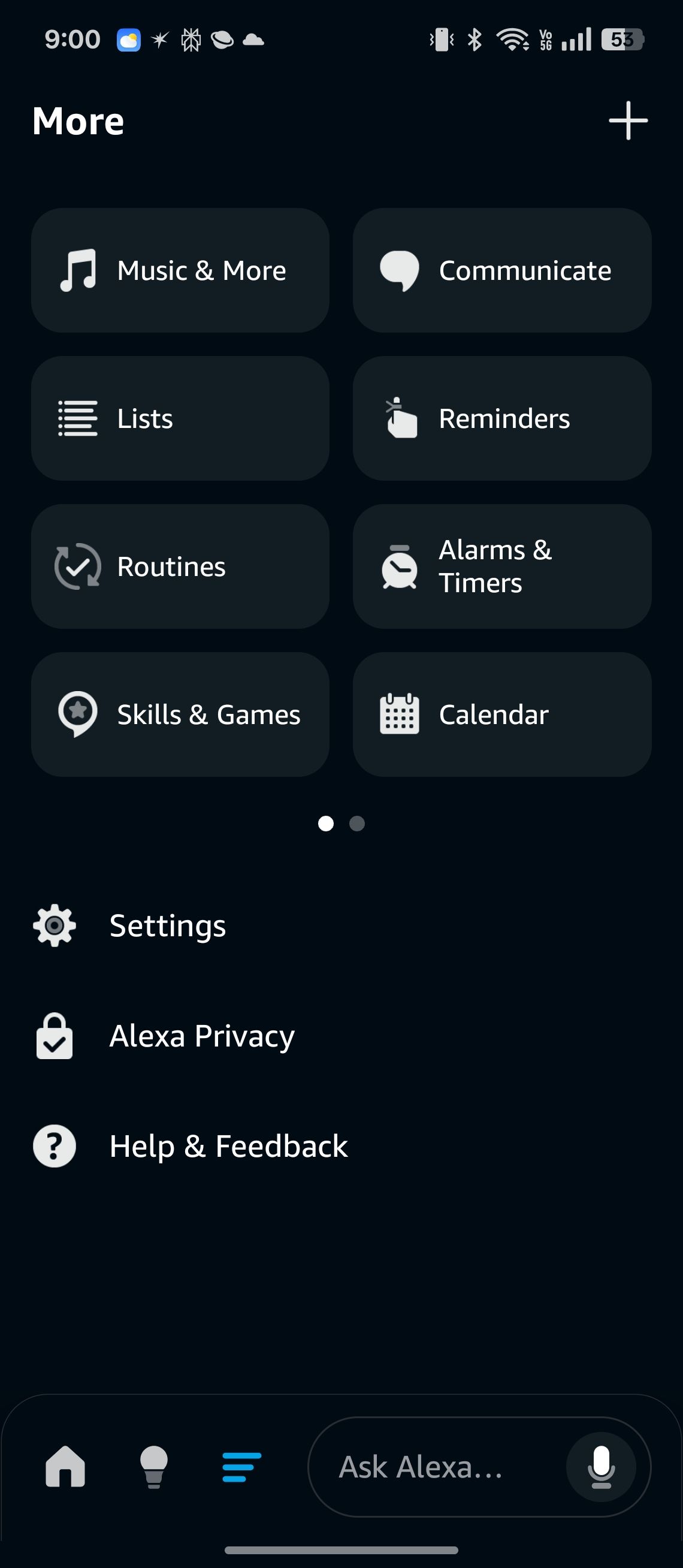 Alexa app's More tab highlighting Alexa Privacy section