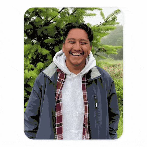 google-photos-new-editor-3-suggested-actions-anim