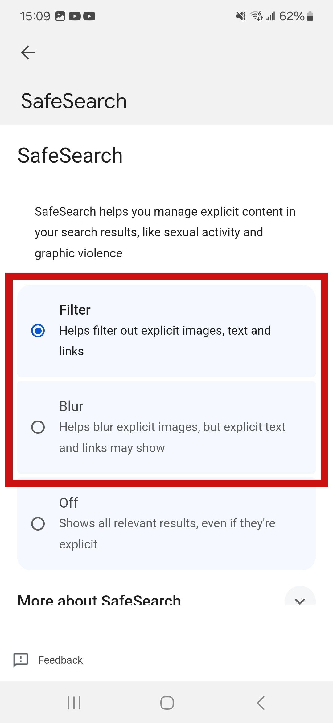 a screenshot of the Google SafeSearch settings screen with a red box around Filter and Blur options