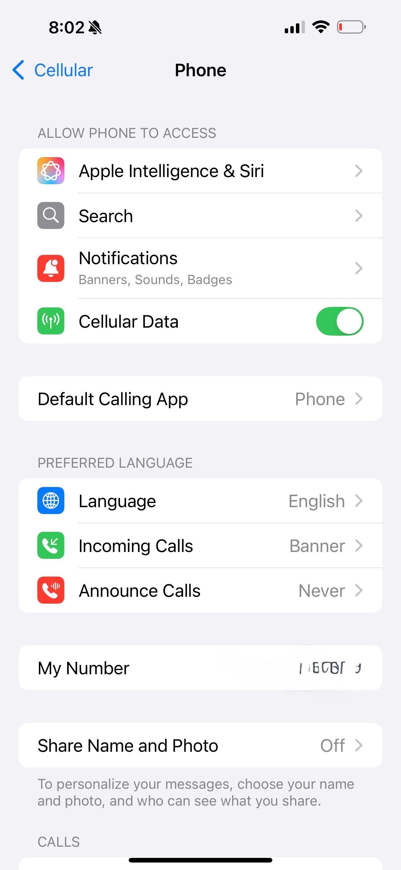 The Phone app on iOS 18 showing a list of options