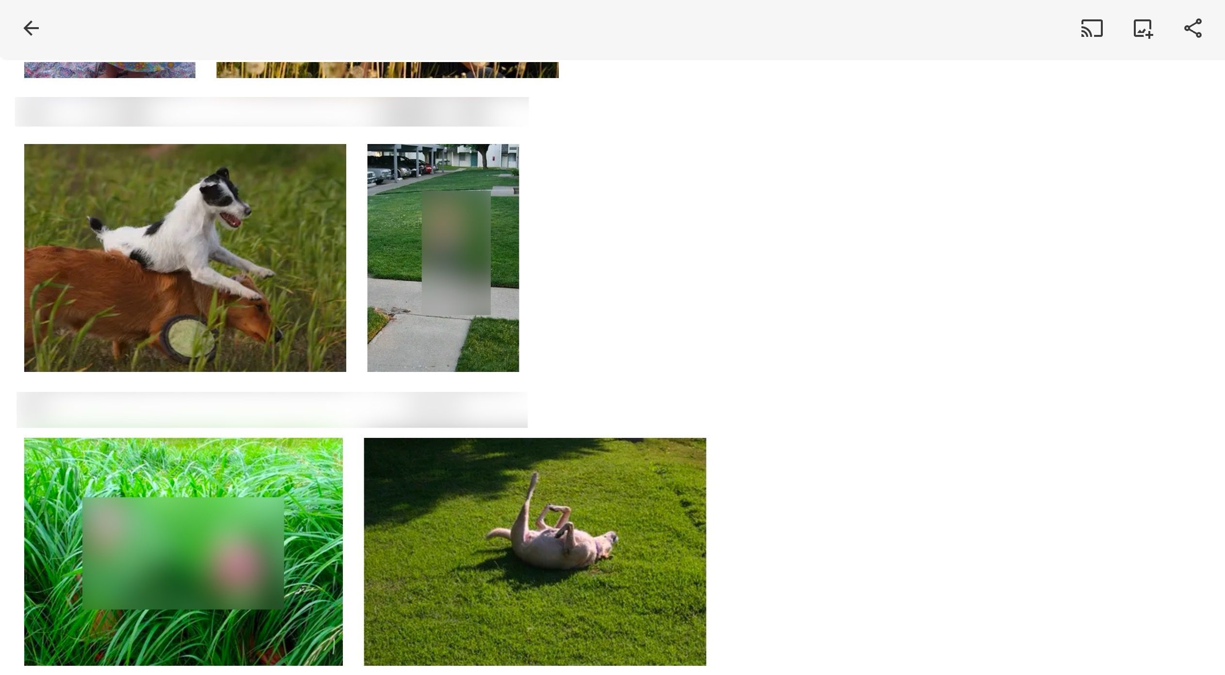 Immich timeline view