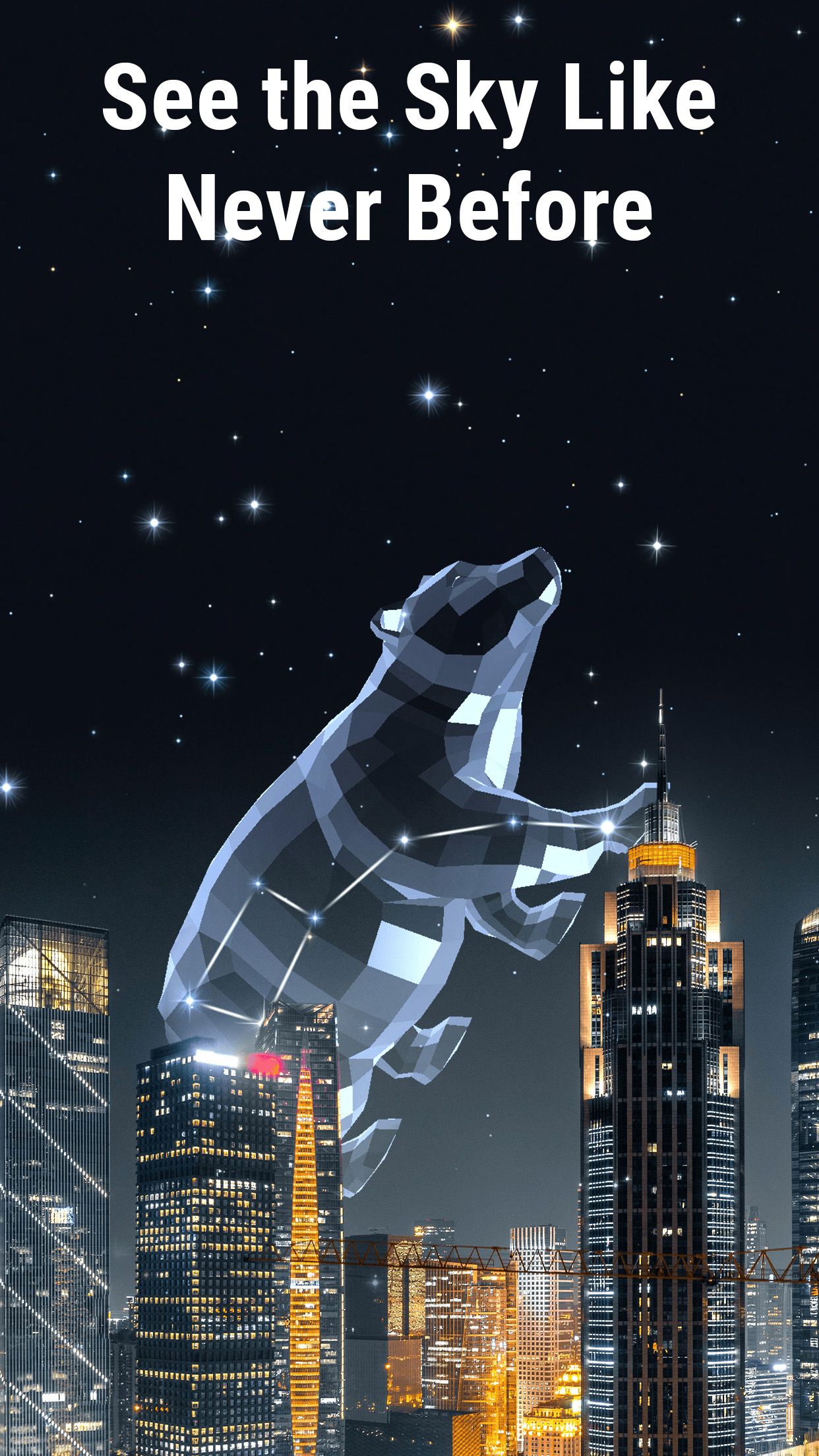 a bear constellation in a starry sky over a city at night
