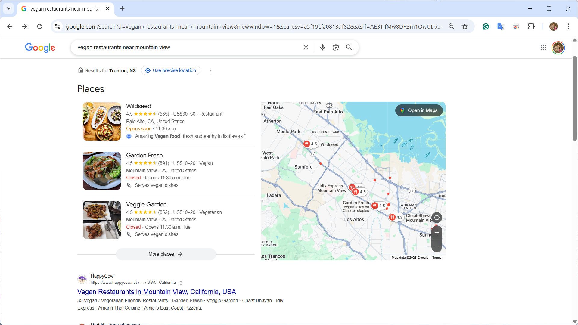 Google Search results for vegan options near Mountain View