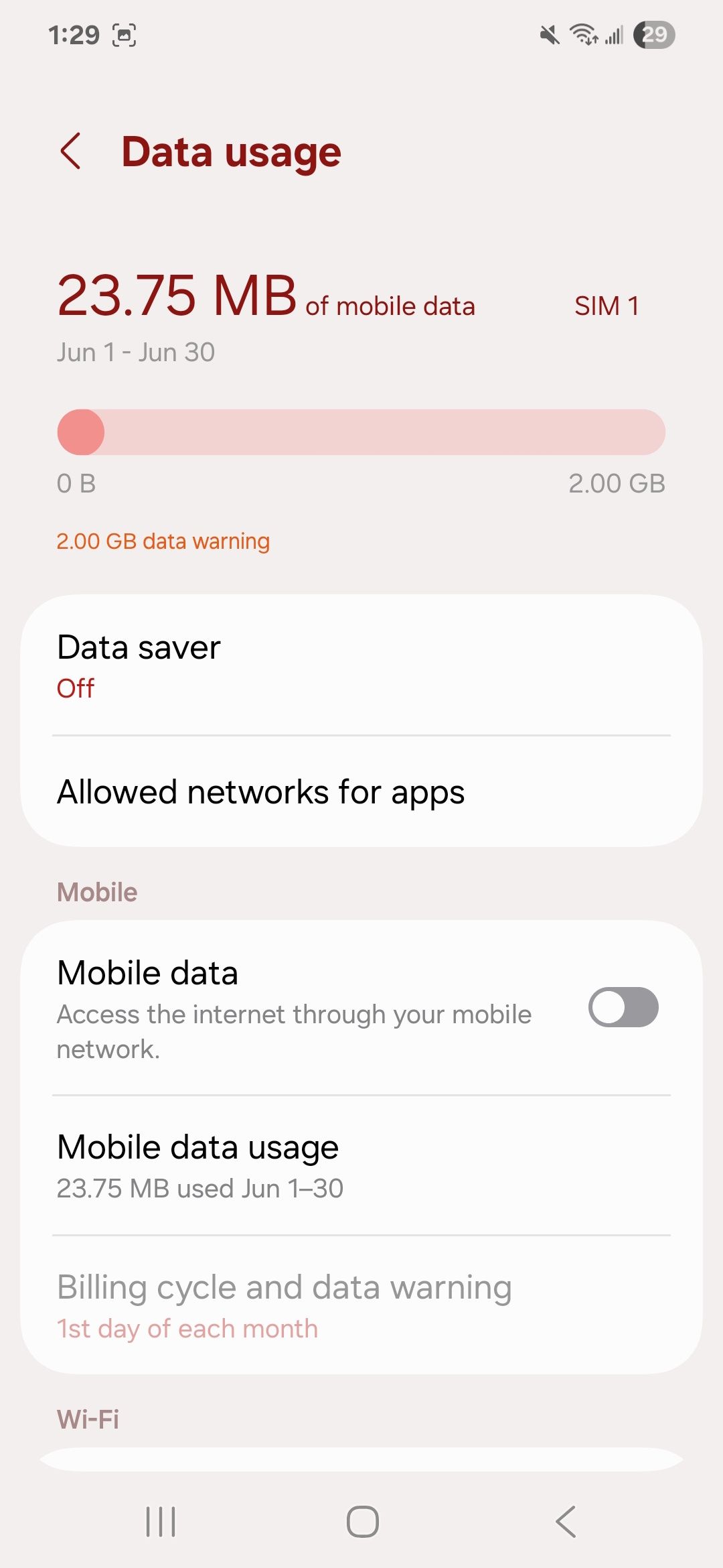 Data usage settings showing Data saver, Allowed networks for apps, Mobile data toggle, and Mobile data usage 