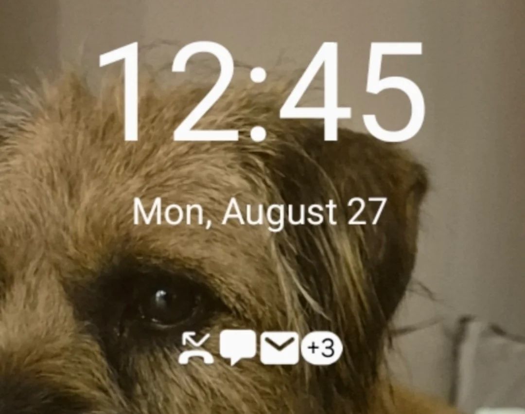 Bloquear íconos de notificación de pantalla en una UI 6.