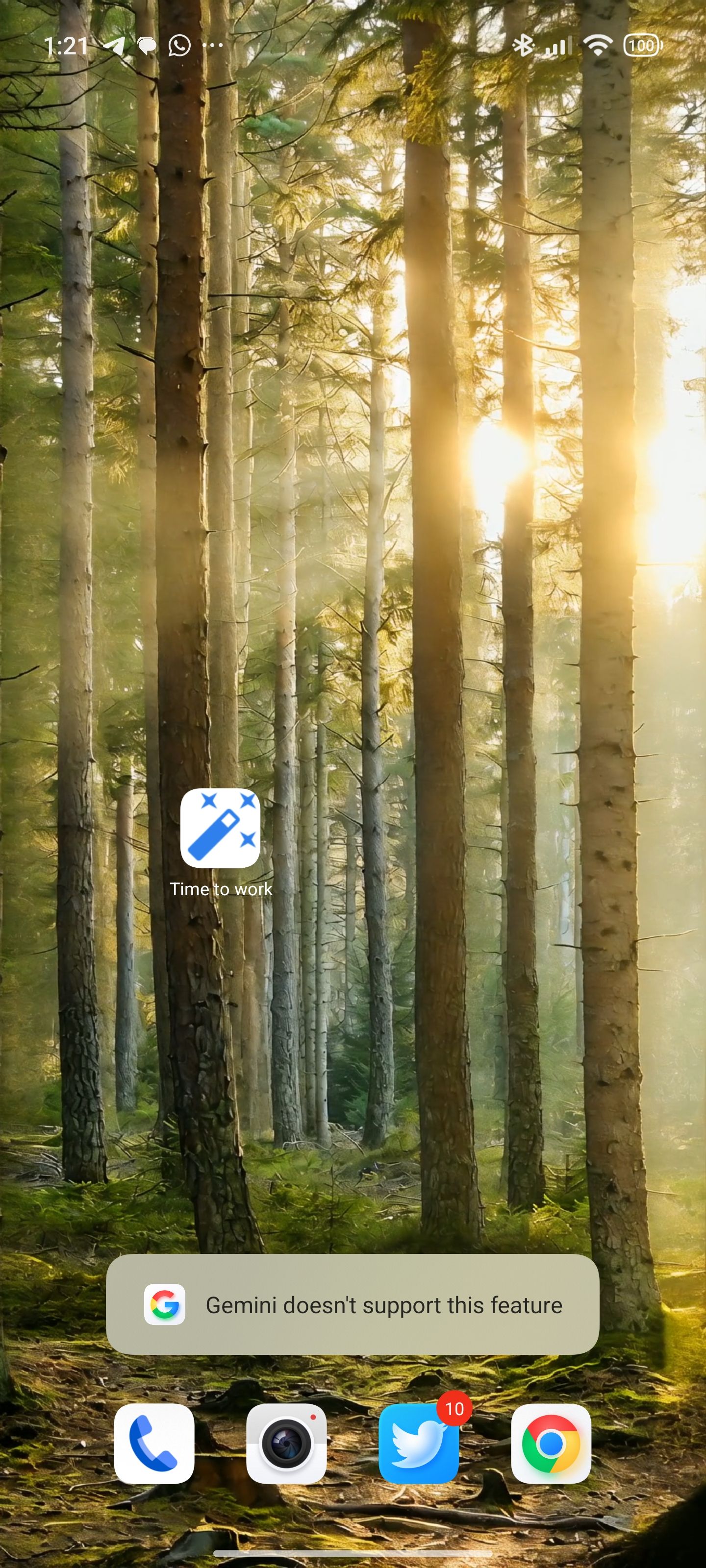 Google Gemini cannot execute Google Home Routine shortcut