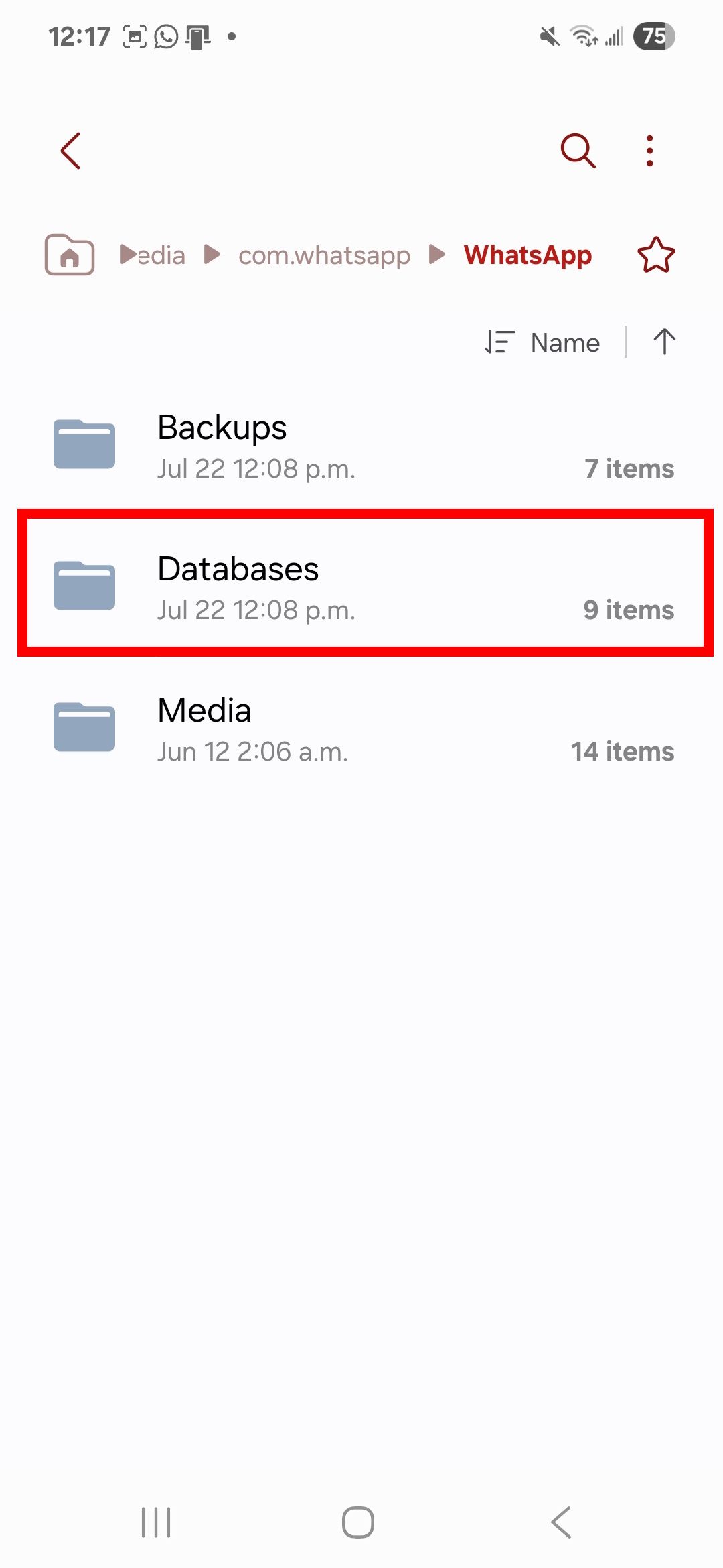 Selecting Databases in your Android local storage options