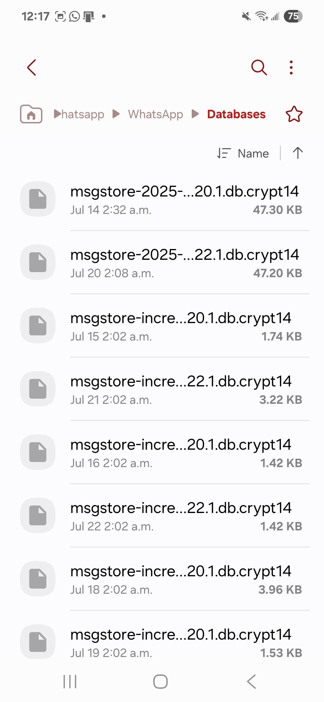 Showing all the stored WhatsApp encrypted chats on your Android local storage displayed under Databases