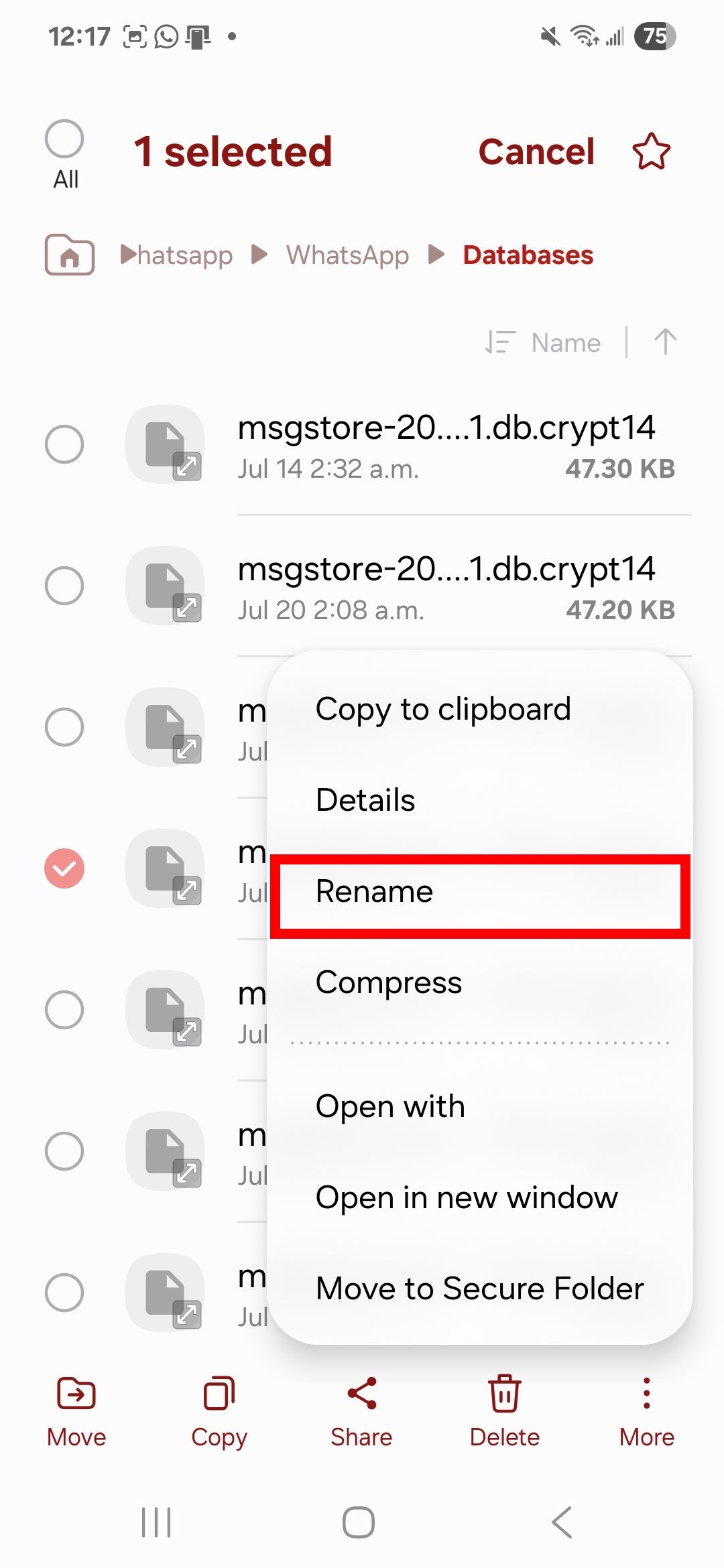 Rename option highlighted for a encrypted stored WhatsApp file in your internal phone storage